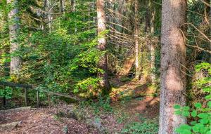 Příroda nedaleko prázdninového domu