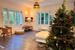 a living room with a christmas tree in it at Les Sablons in La Houssaye-en-Brie