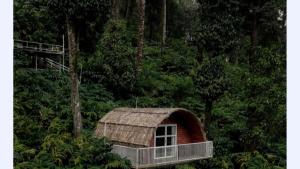 Φυσικό τοπίο κοντά σε αυτό το θέρετρο +33 φωτογραφίες