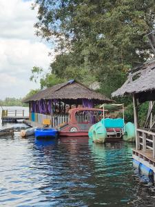 Příroda nedaleko chaty