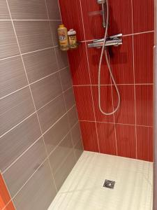 La PASSUITIÈRE في Saint-Mesmin: حمام مزود بدُش وجدران حمراء وبلاط أبيض +19 صورة