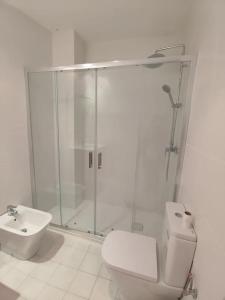 a bathroom with a shower and a toilet and a sink at Charming Apartment in Malaga - 70 m² with Balcony in Málaga +58 photos