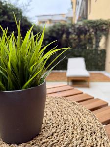 una planta en una olla negra sentada en una mesa en ANADÌA apartment, en Monza