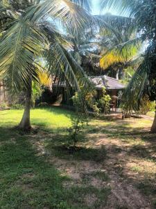 a palm tree in front of a house at Whispering Wind Yala in Kirinda