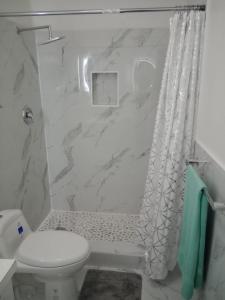 een witte badkamer met toilet en douche bij E&C short term rental in Nassau +2 foto's