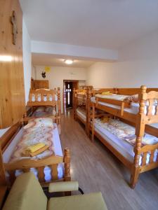 a room with several bunk beds in it at Tau Forest Lodge in Solkan