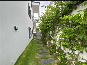 Vườn quanh Studio