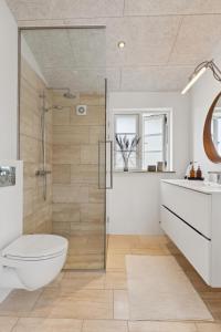 a bathroom with a shower and a toilet and a sink at Feriehus 1142 in Ringkøbing +27 photos
