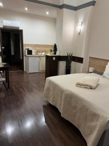 Kuchyň nebo kuchyňský kout v ubytování Mohács Korona Apartman