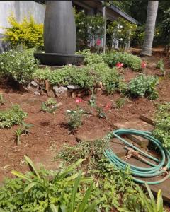 a green hose laying on the ground in a garden at RSM Country Estate Unit 2 in Nelspruit