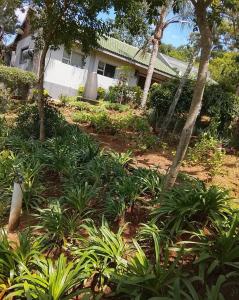 a garden in front of a house with plants at RSM Country Estate Unit 2 in Nelspruit