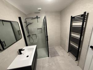 a bathroom with a shower and a sink at Cavan Equestrian Estate - An Independent On-Site Accommodation in Cavan