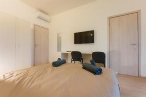 Et tv og/eller underholdning på Moderna stanza 2 con terrazza vicino alla Stazione