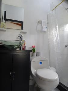 a bathroom with a white toilet and a sink at Cabaña Campestre Bellavista in Paipa