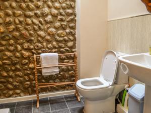 een badkamer met een toilet en een douche bij Owl Barn in Sidestrand