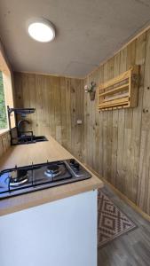 Η κουζίνα ή μικρή κουζίνα στο Tinaja, río y bosque en Conguillío +18 φωτογραφίες