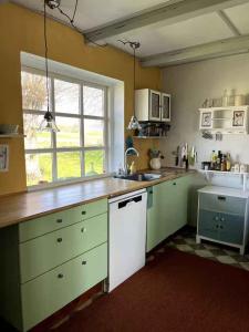 BorreにあるCosy Holiday Home In Møns Natureのキッチン(緑と白のキャビネット、シンク付)