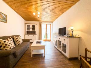 a living room with a couch and a tv at Landhaus Steibis in Steibis