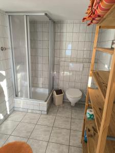 a bathroom with a shower and a toilet at Schwanensee Ferienhaus in Göhren +13 photos