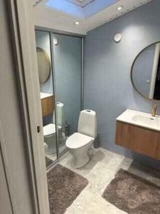 a bathroom with a toilet and a sink and a mirror at Holiday Home With Outdoor Pool, Great Location in Hornsved