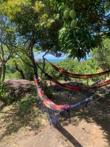 a hammock hanging from a tree in a park at Despertamar- Hospedagem em Calhetas in Cabo de Santo Agostinho