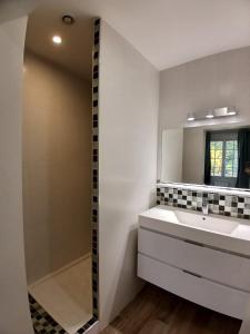 ein Badezimmer mit Waschbecken und Spiegel in der Unterkunft Escapade Champêtre in Saint-Martin-en-Bière + 11 Fotos