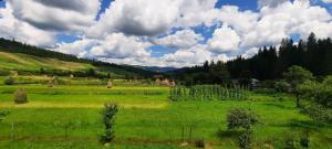 Naturlandskabet i nærheden af villaen + 10 billeder