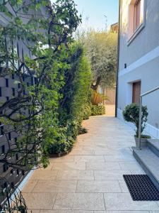 Κήπος έξω από το Casa Mina