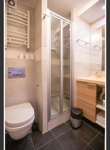 a bathroom with a toilet and a shower at Apartments Suncani Vrhovi Kopaonik in Kopaonik +112 photos