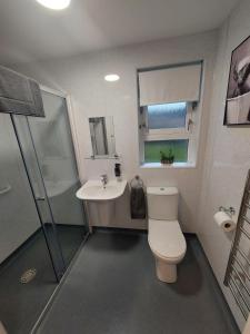 een badkamer met toilet en wastafel bij 1 Carn Dearg in Fort William