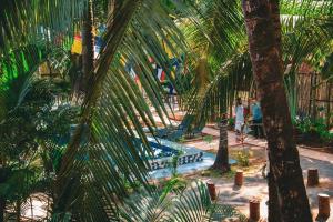 Κήπος έξω από το resort zulley