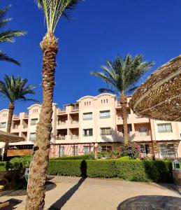 Το κτήριο όπου στεγάζεται  το διαμέρισμα