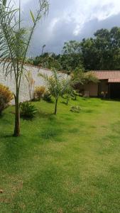 um quintal com duas árvores e um edifício em Chacara Sossego em Monte Sião