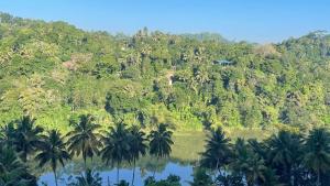 Природа в окрестностях гостевого дома