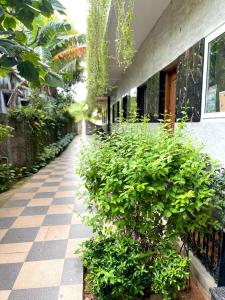 Zahrada ubytování Farmdean holiday home + 6 fotografií