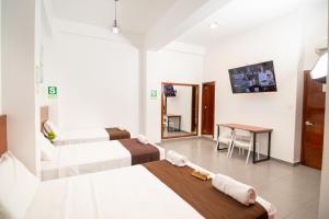 Μια τηλεόραση ή/και κέντρο ψυχαγωγίας στο HOTEL SAN JUAN, Tarapoto