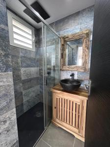un baño con lavabo y espejo en Maison confortable avec vue sur la mer à Le Diamant, 48 m², en Le Diamant