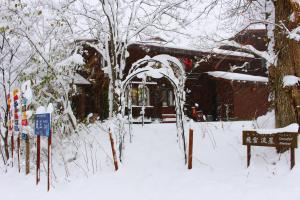 Το Snowfall Meteor 飛雪流星 τον χειμώνα