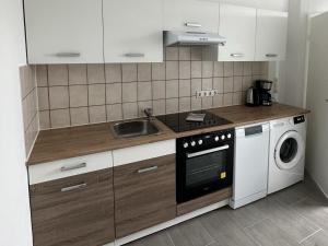 a kitchen with a sink and a washing machine at Fully equipped Apartment in Castrop-Rauxel in Castrop-Rauxel