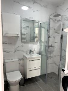 Cap d'Ail - Studio - Terrace with sea view - Malabo في كاب دايل: حمام ابيض مع مرحاض ودش