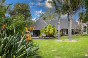 a house with a yard with palm trees at Africa Lodge in Somerset West