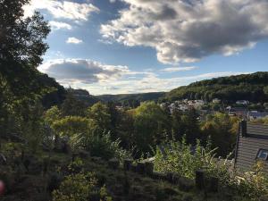a view of a city from a hill with trees at Spacious house next Kirchberg-Centre with parking in Luxembourg