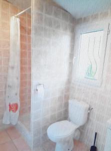 ein Badezimmer mit Toilette und Dusche in der Unterkunft Maisonnette avec terrasse in Gréoux-les-Bains