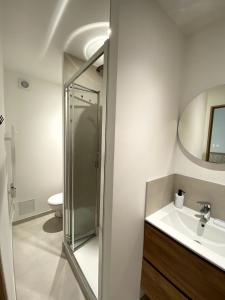 a bathroom with a shower and a sink at Au Passage de Pommard in Pommard +6 photos