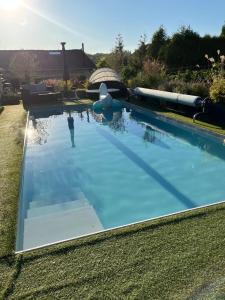 une piscine avec de l'eau bleue dans une cour dans l'établissement La Belle Vie La, à Saintry-sur-Seine 3 autres photos