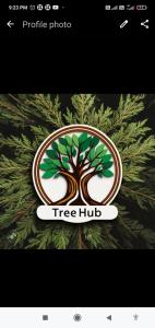 Certifikát, hodnocení, plakát nebo jiný dokument vystavený v ubytování Tree Hub Jibhi