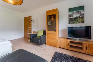 Μια τηλεόραση ή/και κέντρο ψυχαγωγίας στο Apartment Nagelköpfl