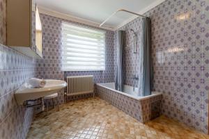 Ένα μπάνιο στο Apartment Nagelköpfl +20 φωτογραφίες