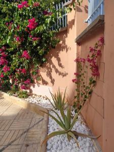 un jardín con flores rosas en el lateral de un edificio en Casa Doramas VV, en Las Palmas de Gran Canaria 75 fotos más