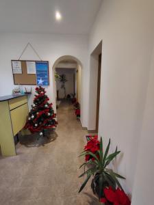 Φωτογραφία από το άλμπουμ του Стаи за гости - Цветето на Ангела σε Bankya